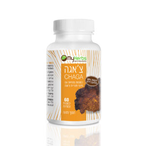צ'אגה CHAGA