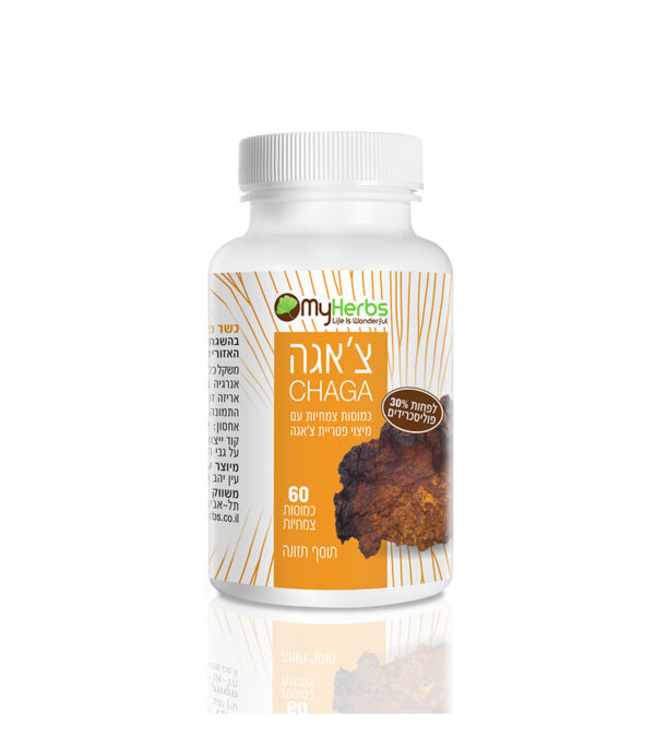צ'אגה CHAGA